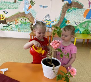 WhatsApp Image 2023-05-15 at 15.02.10